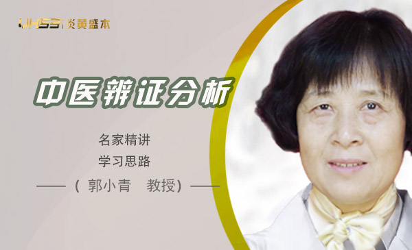 中医“辨证分析”