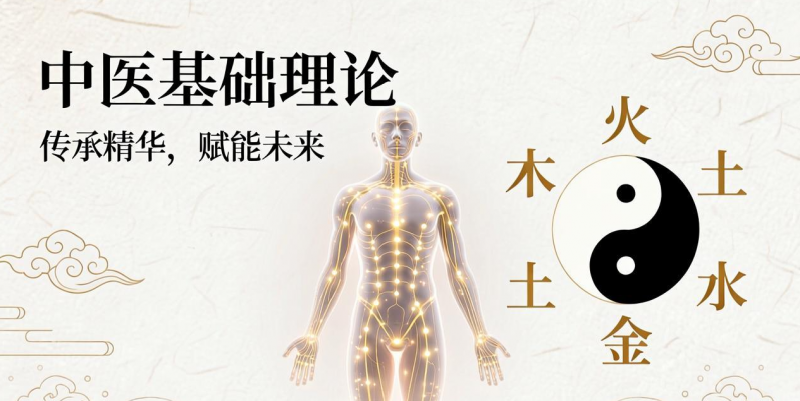 范文涛教授：《中医基础理论》